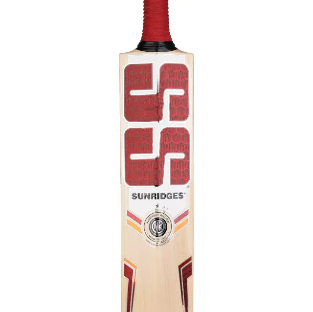 Gutsy Kashmir Willow Cricket Bat – SS