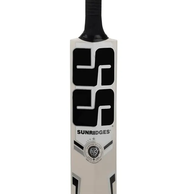 Power Kashmir Willow Cricket Bat – SS