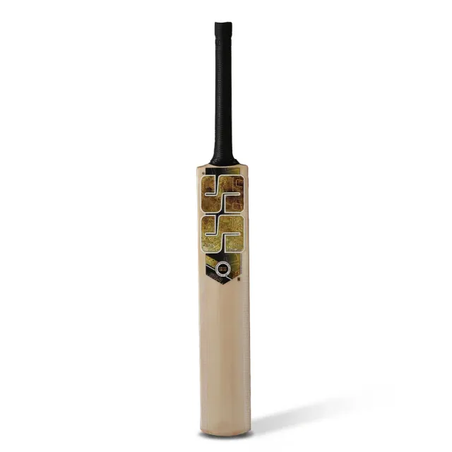 Premium Gold Kashmir Willow Cricket Bat – SS
