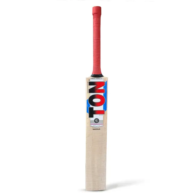 TON Maximus Kashmir Willow Cricket Bat – SS