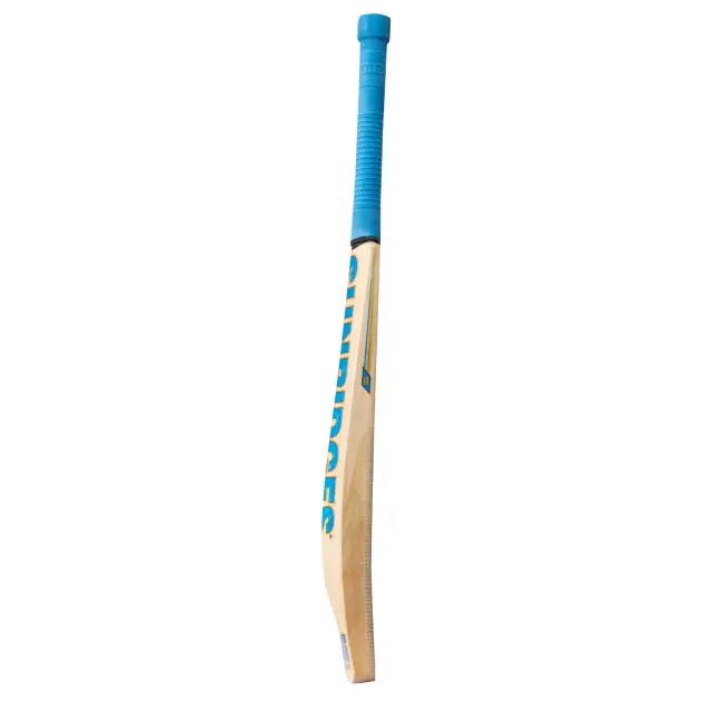 Vintage Bolt Kashmir Willow Cricket Bat – SS