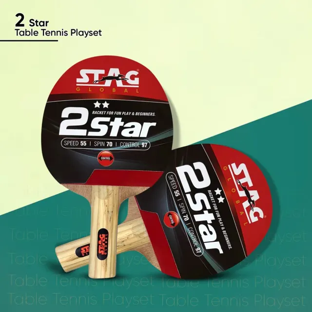 2 Star Table Tennis Playset (with Cover) – Stag