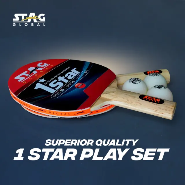 Anywhere Everywhere Table Tennis Playset – Stag